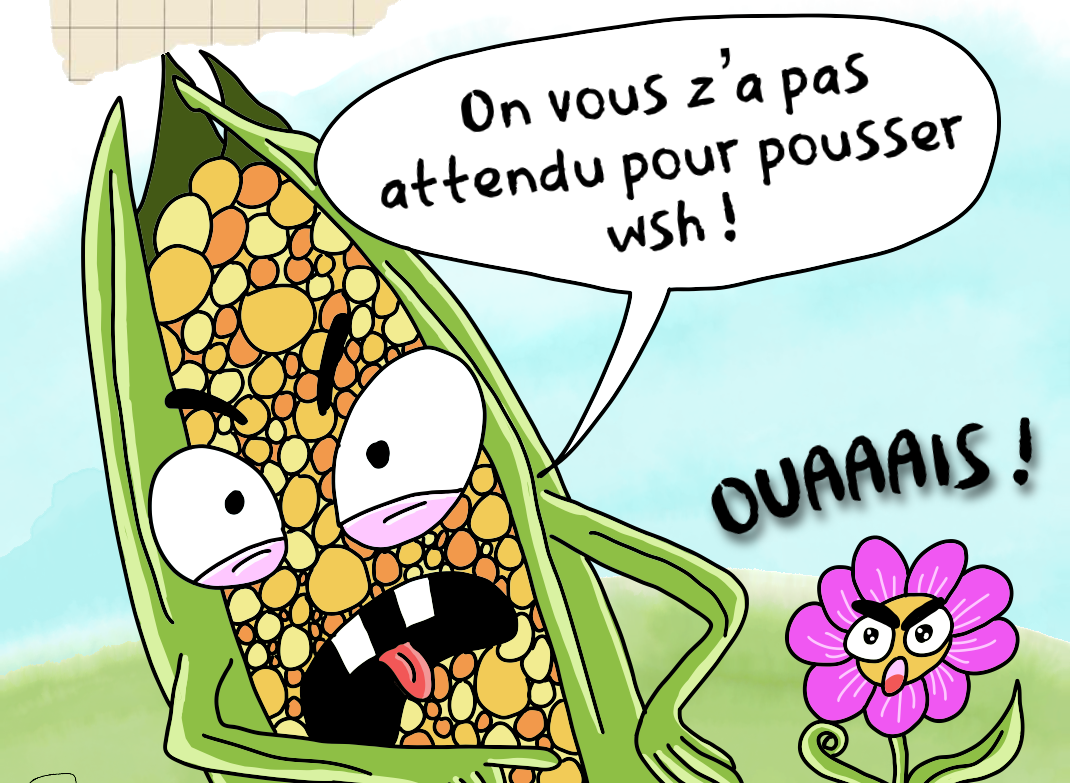 6 – Les plantes ne sont pas véganes !