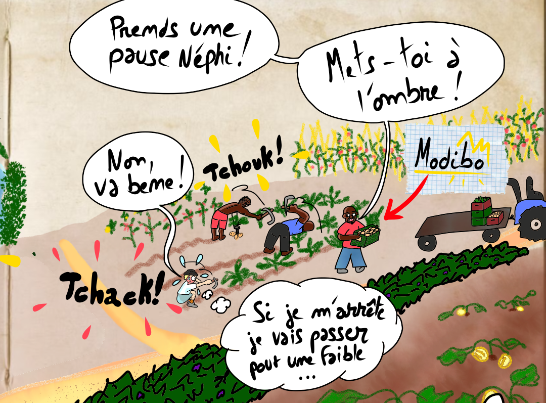11 – Barikama