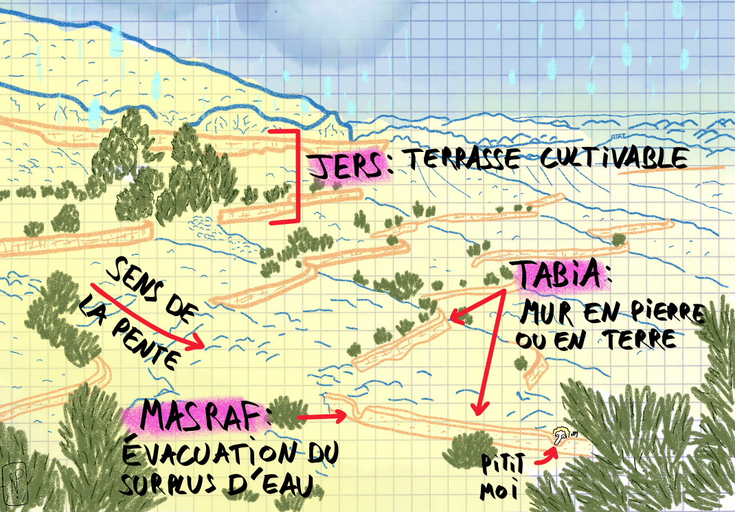 21 – Les Jessour de Matmata